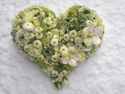 IMG_20180118_131212_123_resized_20180124_085801777 (002)